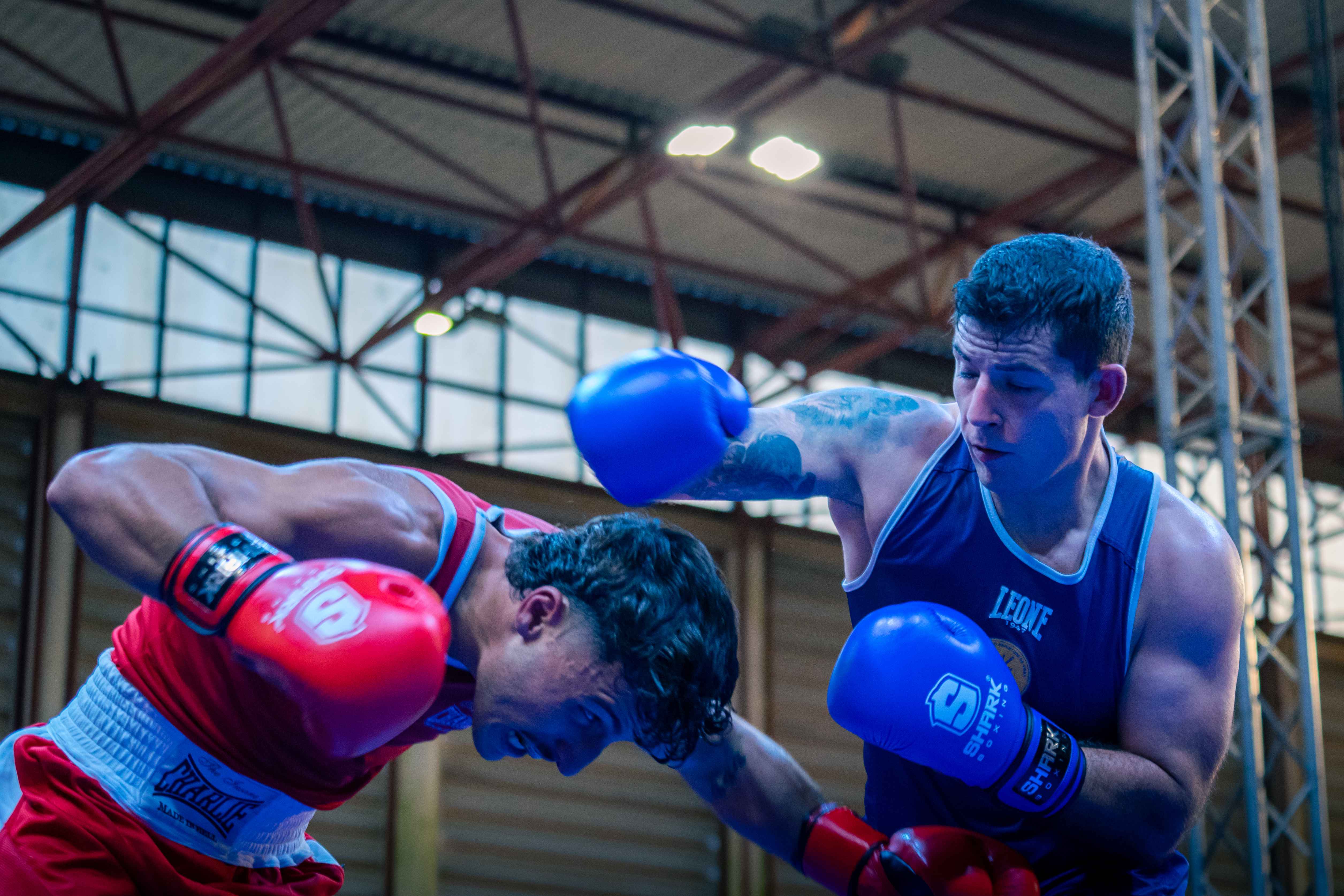 Combate de boxe soco